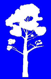BlueChip Forest Services Tree Logo