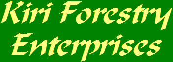 Kiri Forestry